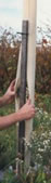 Tree Tubes for Sale